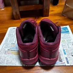バスケットシューズ バッシュ アシックス アンプレアルス2の画像