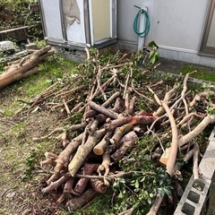 剪定枝・間伐材:薪や菌ちゃん農法にいかがですかの画像