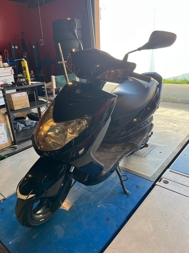 シグナス　SE44J 国内