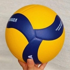 国際競技用モデルバレーボール
