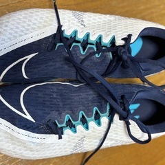 NIKE  ズームライバルフライ 25センチ
NVY