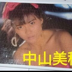 中山美穂　パズル　1987年 額縁付き　昭和レトロ　年代物　EX...