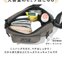 ミニショルダーバッグの画像