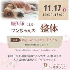愛犬の整体