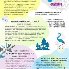 府中環境まつり2024にて「まだ使えるのに不要なおもちゃやゲーム...