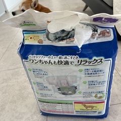 犬用オムツの画像