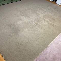 じゅたん
