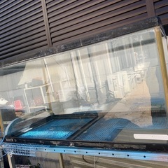 水槽の画像