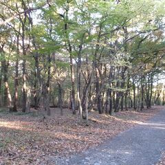 ◆那須塩原市東原住宅用土地・109坪・98万円◆