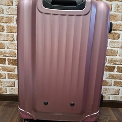 【⚠️受付終了】大型キャリー:元々2万くらいのものがセール！の画像