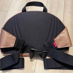 鑑定書付　レア色　極美品　supremeコラボノースフェイス　ショルダーバッグの画像