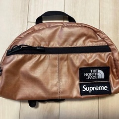 鑑定書付　レア色　極美品　supremeコラボノースフェイス　ショルダーバッグの画像