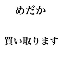 めだか買い取ります。