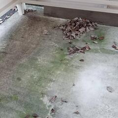 【アパート清掃】アパートの屋外清掃員募集！の画像