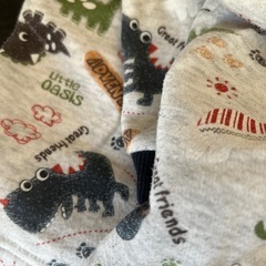 ダイナソー　パジャマの画像