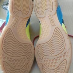 1回着用のみ　ミズノ　フットサルシューズ　22.5の画像