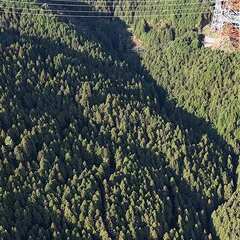 山林物件215　広島県廿日市市虫所山