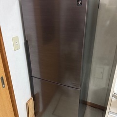 綺麗め冷蔵庫！