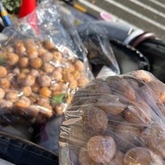 ぎんなん未処理