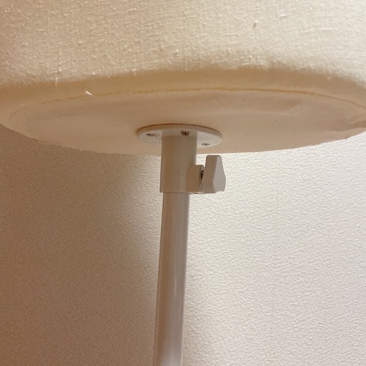 美品　トルソー　レディース 9号