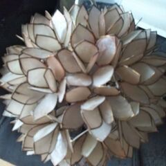 シェルフラワーライト◆アジアン　バリ　エスニック◆間接照明　蛍光灯◆貝殻の画像