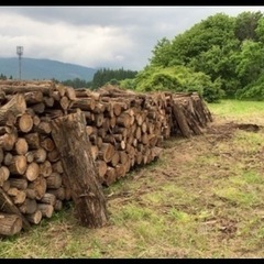 薪　原木　譲ります　アカシア　メイン