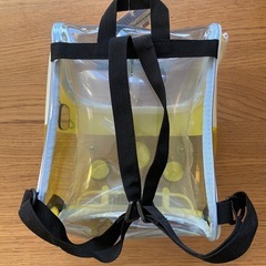 ❗️非売品❗️ストライダー　スケルトンリュックの画像