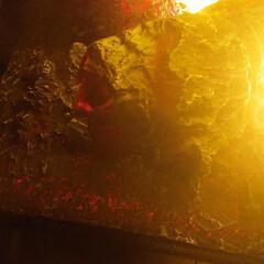 リアル電気暖炉 ディンプレックス グラスゴーの画像