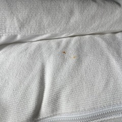 ドッカトットの画像