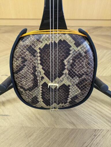 0104 沖縄三味線