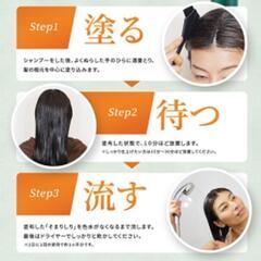 そまりしり 白髪用ヘアトリ ートメント
そまりしりの画像