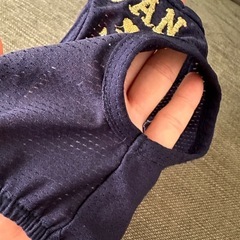 犬用　夏服とバンダナの画像