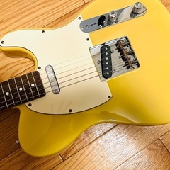 GrassRoots グラスルーツ G-TE-50R ABDの画像