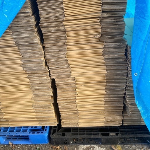 ダンボールやま