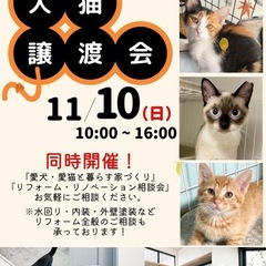 ねこまる犬猫譲渡会
