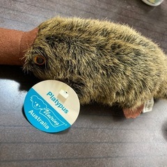 週明け
処分カモノハシ　ぬいぐるみ　タグ付き　海外購入品