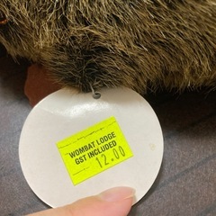 週明け
処分カモノハシ　ぬいぐるみ　タグ付き　海外購入品の画像