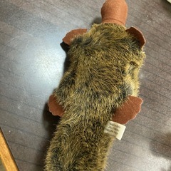 週明け
処分カモノハシ　ぬいぐるみ　タグ付き　海外購入品の画像