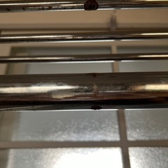 お譲り先決まりましたの画像