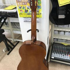 【A10】クラシックギター 蓼科の画像