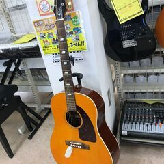 【A12】アコースティックギター エピフォン FT-79