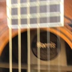 12弦ギター モリス MB-305-12の画像