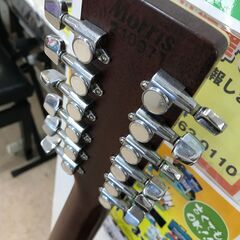 12弦ギター モリス MB-305-12の画像