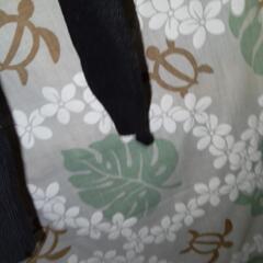 ブラックのカーディガンの画像