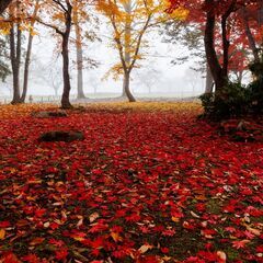 🍂🍂～11月31日まで🍂🍂　　未経験の方も安心😀✨　軽作業スタッ...