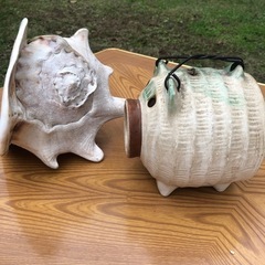 ホラガイのみです。の画像