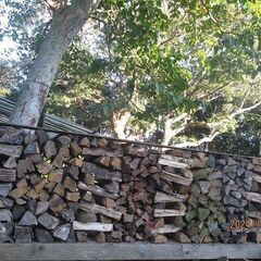 商談中、MIX乾燥薪写真写ってる薪全部、幅３１００*高１０００，...