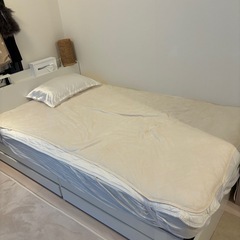 セミダブルベット