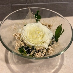 ホワイトローズプリザーブドフラワーと多肉植物観葉植物セット
の画像