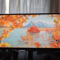 LG　ウルトラワイドモニター 34WL750-B 34インチ